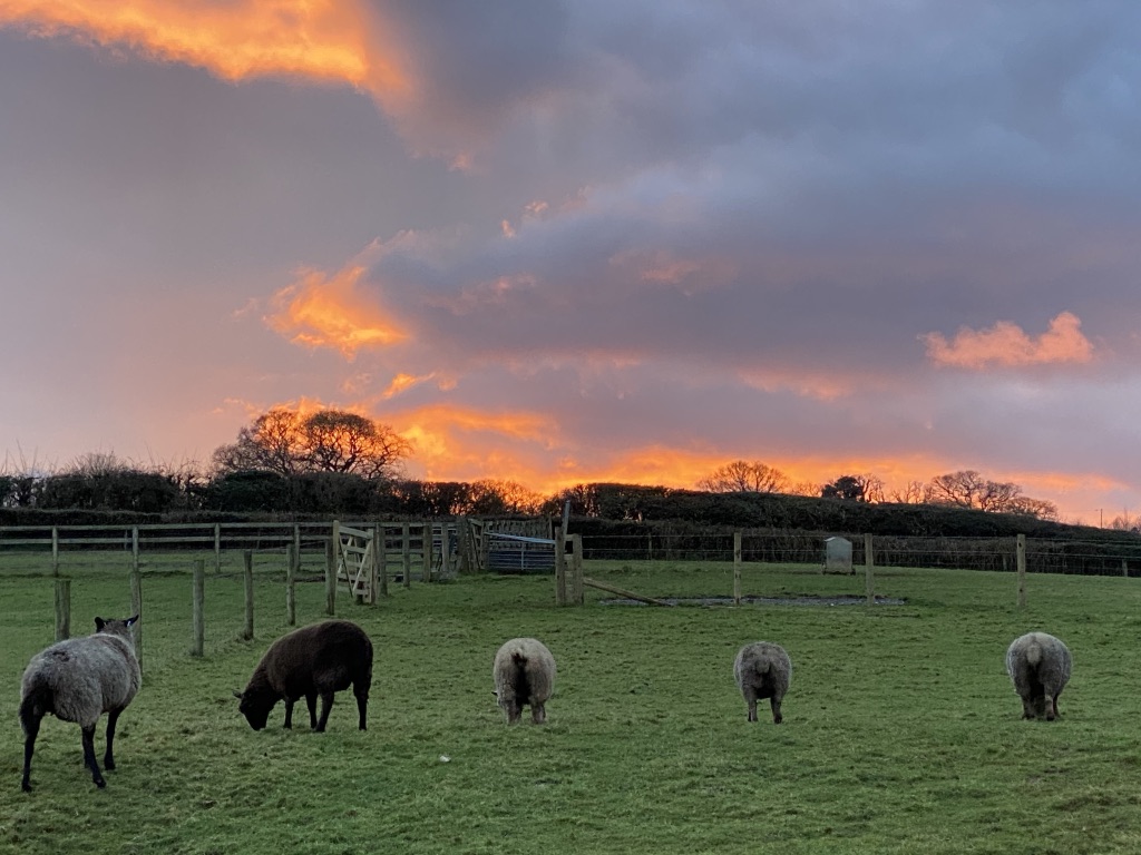 Langdale Barn & Lodge holiday cottage near Dartmoor Devon