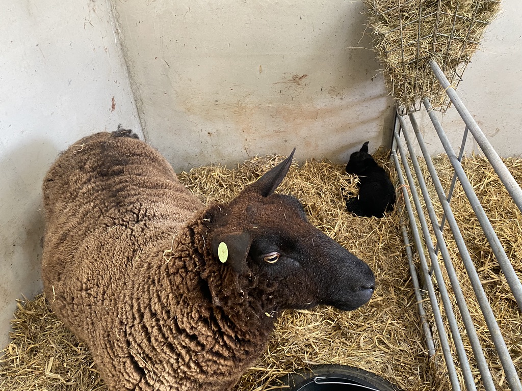 Langdale Barn & Lodge holiday cottage near Dartmoor Devon