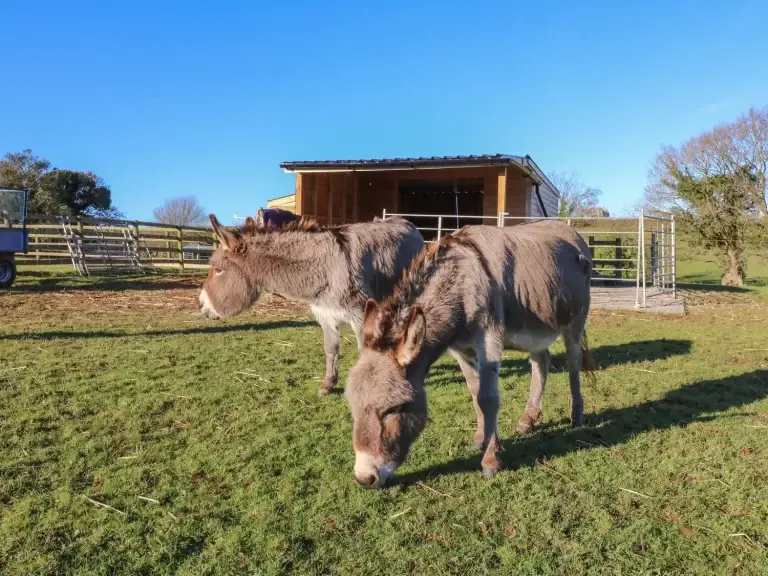 Langdale Lodge holiday cottage near Dartmoor Devon