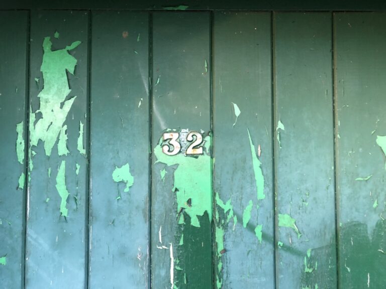 entrance door before painting