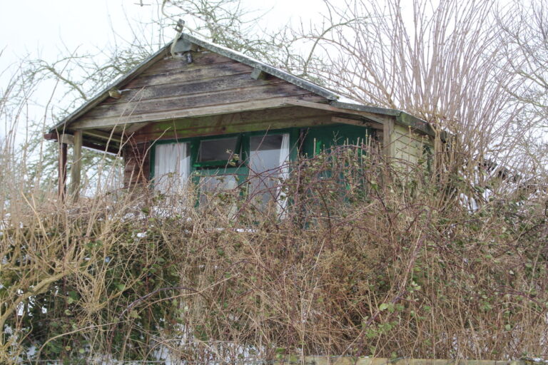 view from field before conversion