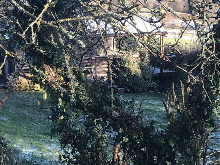 view though the fruit trees