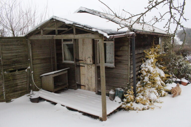 rear view before conversion