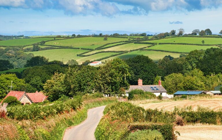 View of Devon Countryside